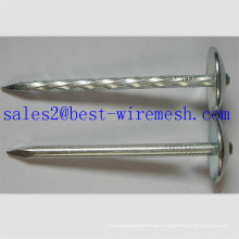 Roofing Nails with Umbrella Head/Steel Twisted Shank Roofing Nail